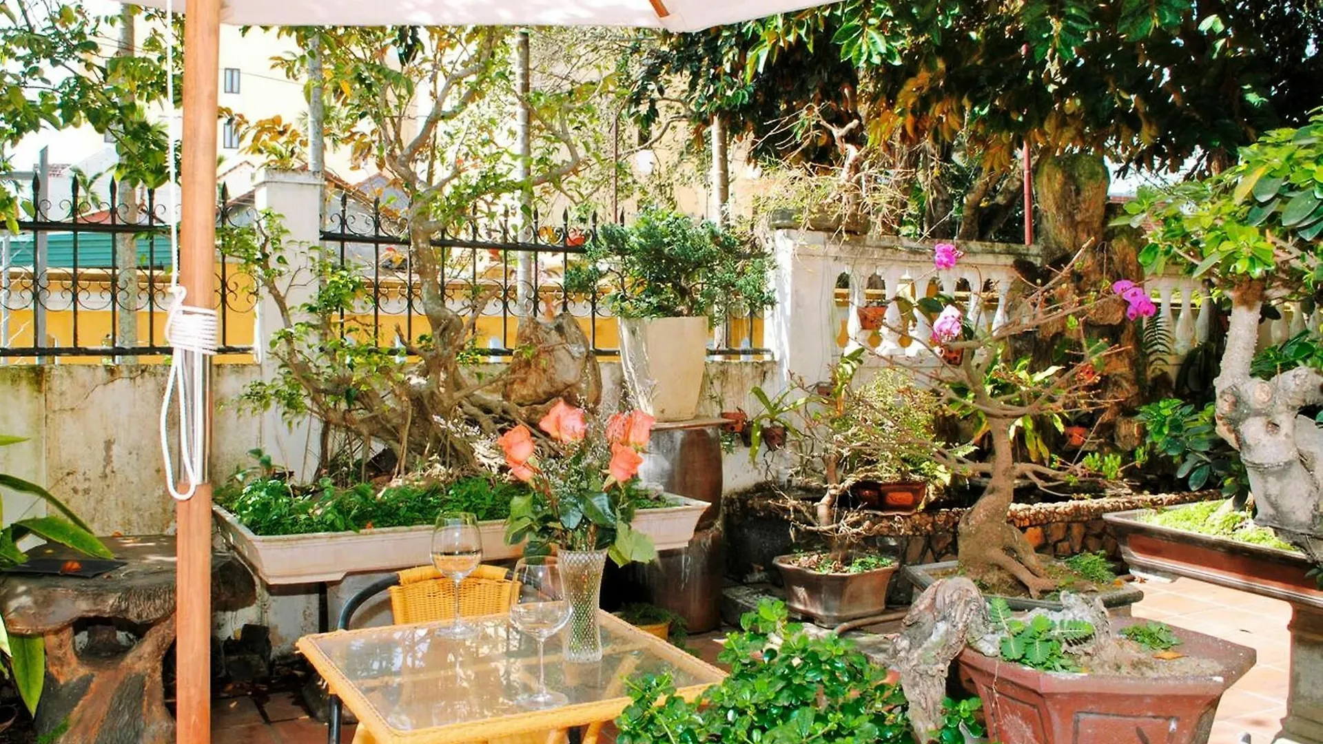 Golden Leaf Homestay Hoi An